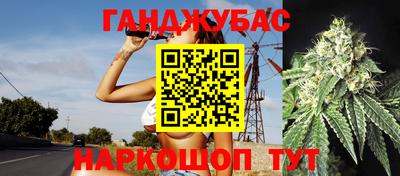 прущие грибы Тверь