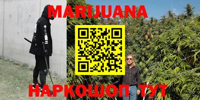 прущие грибы Тверь