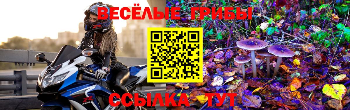 Псилоцибиновые грибы прущие грибы Ахтубинск