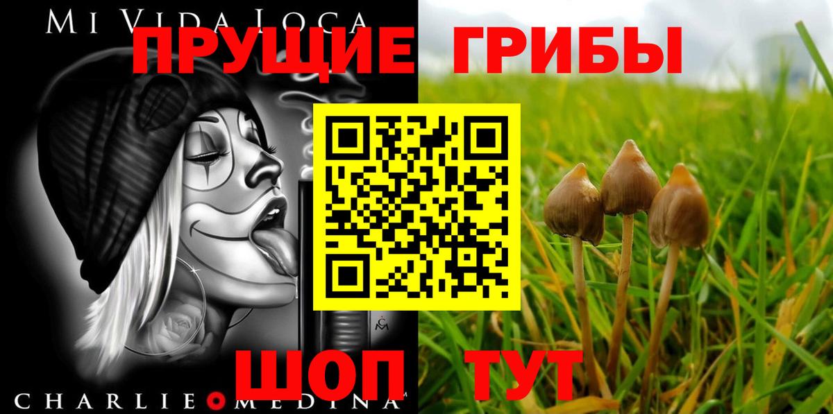 Ахтубинск  Псилоцибиновые грибы ЛСД  Вход с VPN 